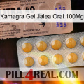 Kamagra Gel Oral Jelly 100Mg 41